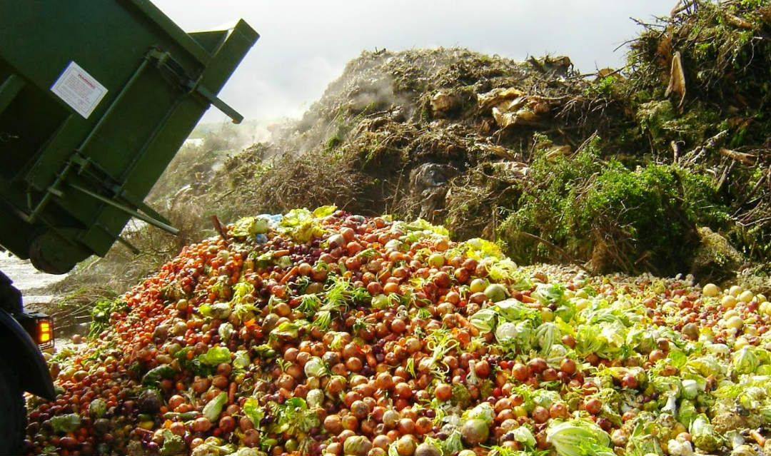 Imagem mostrando uma enorme quantidade de comida sendo disperdicada em uma especie de lixão.